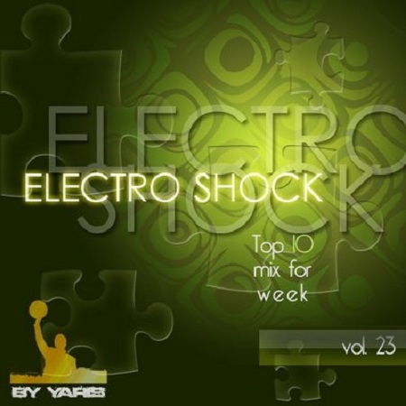 Electro Shock vol.23 (2010)