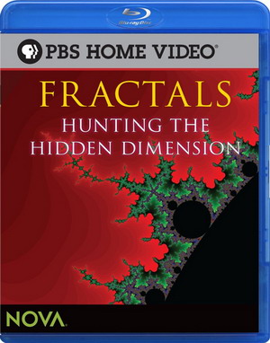 .    / Fractals. Hunting The Hidden Dimension (Bill Jersey, Michael Schwarz) [2008 ., , -, BDRip]