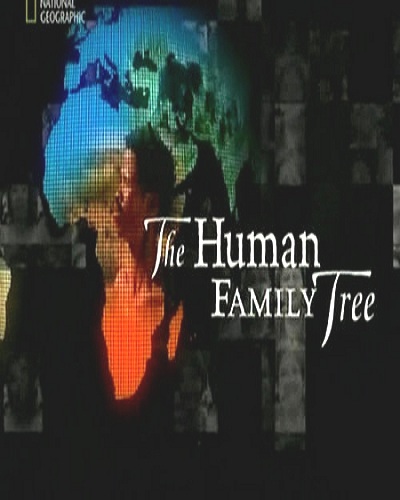 Родословная человечества / The Human Family Tree (2009) SATRip
