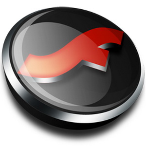 Flash Player Pro 4.4 [2010|Eng/Rus]