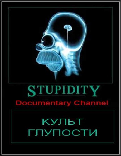   / Stupidity (2010/TVRip)