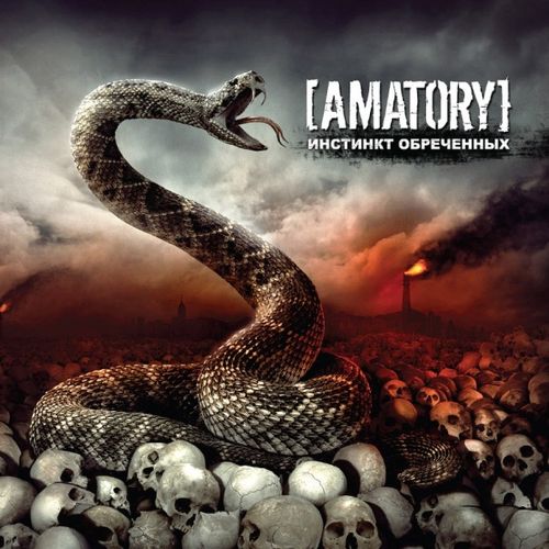 Новый альбом Amatory