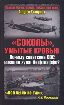 «Соколы», умытые кровью. Почему советские ВВС воевали хуже Люфтваффе?