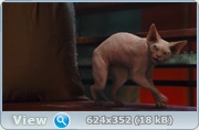 Кошки против собак: Месть Китти Галор / Cats & Dogs: The Revenge of Kitty Galore (2010) DVD5 / HDRip