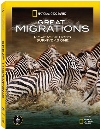   / Great Migrations [7   7] (2010) HDTVRip 720p