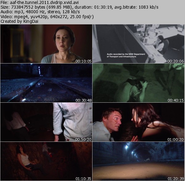 The Tunnel 2011 DVDRip XviD-aAF [UsaBit com] preview 0