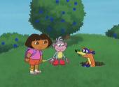Путешественница Даша: Даша Старшая Сестра / Dora the Explorer: Big Sister Dora / 2005 / DVDRip