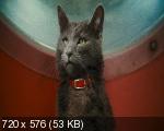 Кошки против собак: Месть Китти Галор / Cats & Dogs: The 
Revenge of Kitty Galore (2010/DVD5/HDRip/700Mb/1400Mb)