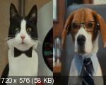 Кошки против собак: Месть Китти Галор / Cats & Dogs: The 
Revenge of Kitty Galore (2010/DVD5/HDRip/700Mb/1400Mb)
