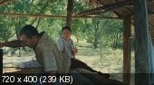  ,      / Loong Boonmee raleuk chat / Uncle Boonmee Who Can Recall His Past Lives (2010/DVD5/DVDRip/BDRip/720p)